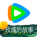 在线播放之血柠檬